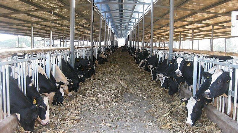 艾思捷定制款PGV035系列減速機--應用在畜牧業、飼料行業